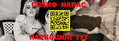 стафф Моздок