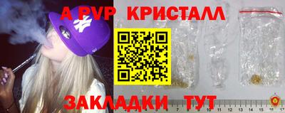 стафф Моздок