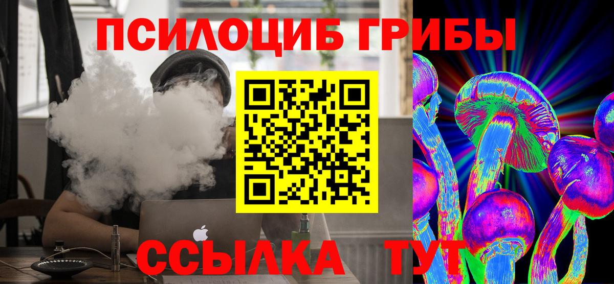 Псилоцибиновые грибы Psilocybine cubensis Джанкой